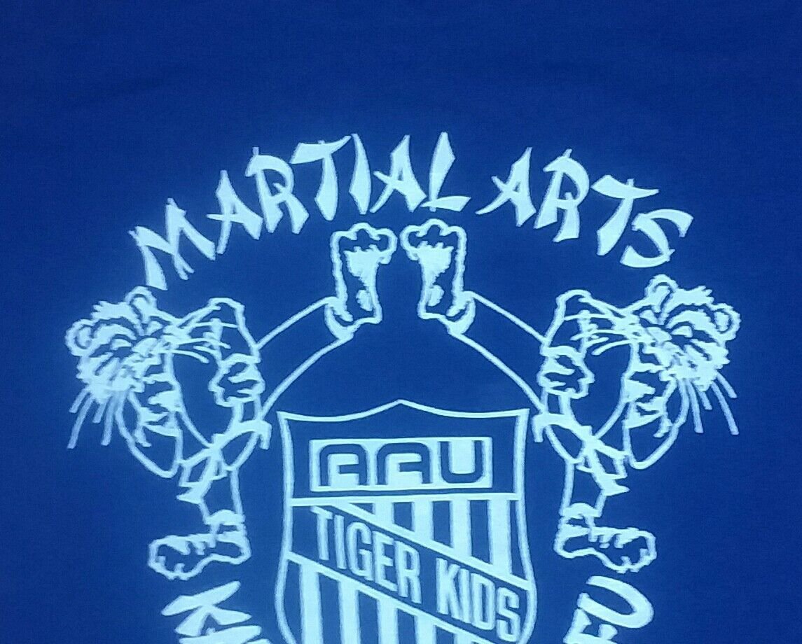 KARATE KUNG FU MARTIAL ARTS AAU CHAMPIONSHIP t shirt S 50/50 small