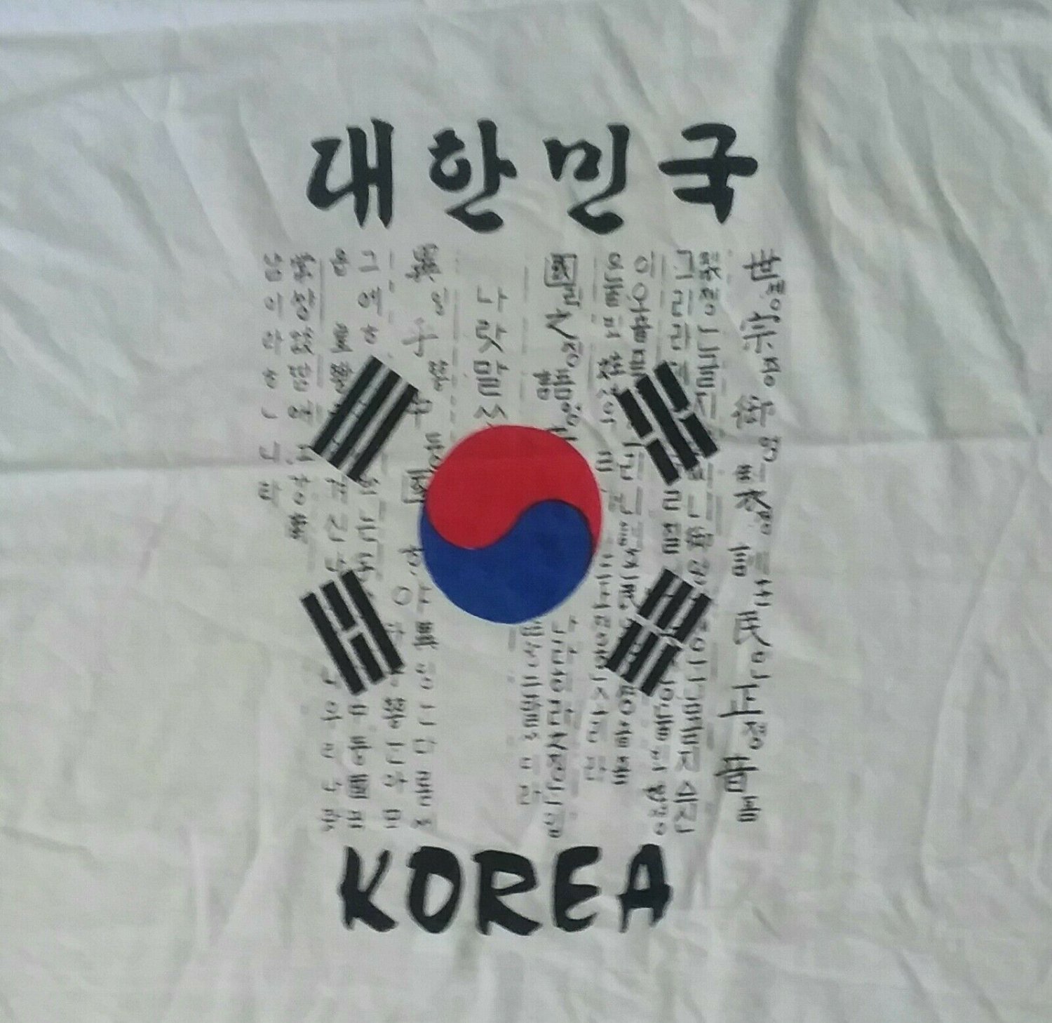 KOREA FLAG LANGUAGE SOUVENIR white t shirt M medium new 05162019