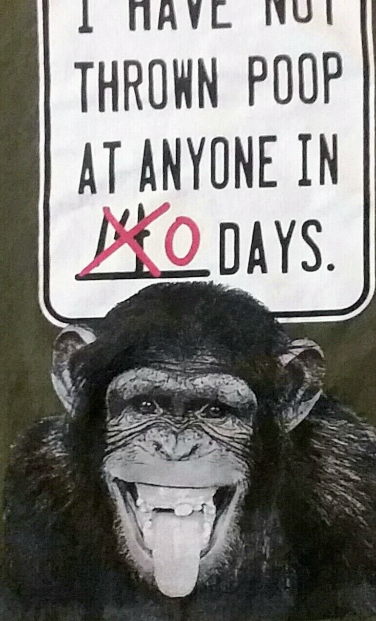 Monkey Throw Poop zoo vintage funny t shirt L souvenir chimp