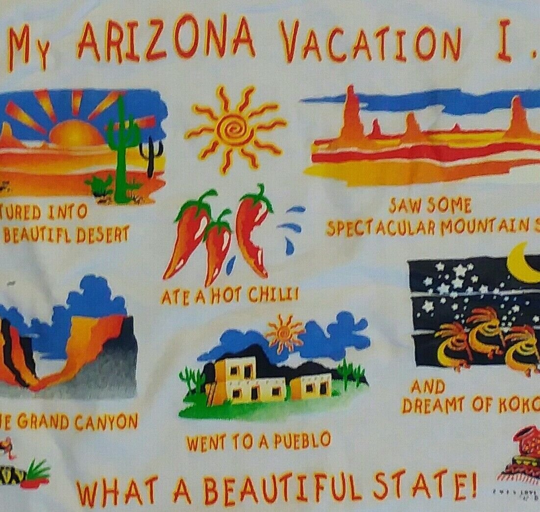 Arizona Beautiful State Vacation Souvenir t shirt XL 50/50 awesome excellent