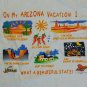 Arizona Beautiful State Vacation Souvenir t shirt XL 50/50 awesome excellent