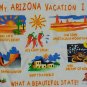 Arizona Beautiful State Vacation Souvenir t shirt XL 50/50 awesome excellent