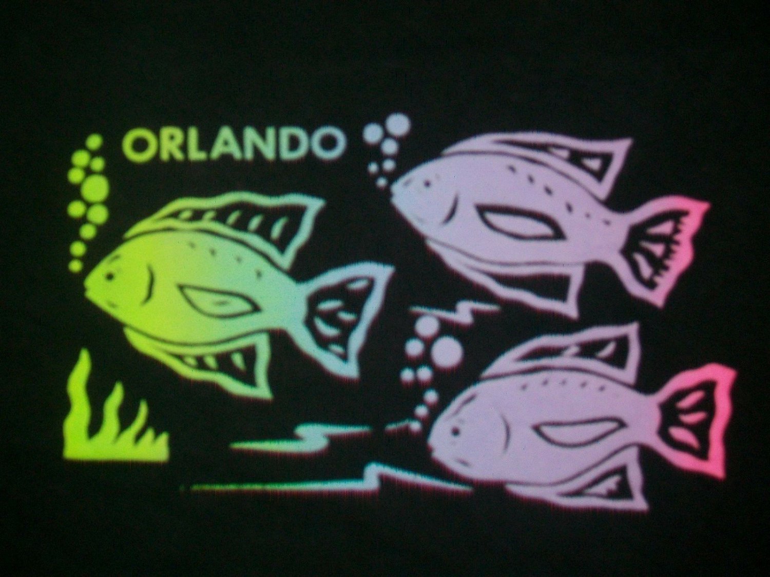 Tropical Fish Orlando Florida Souvenir vintage t shirt L Large rainbow color