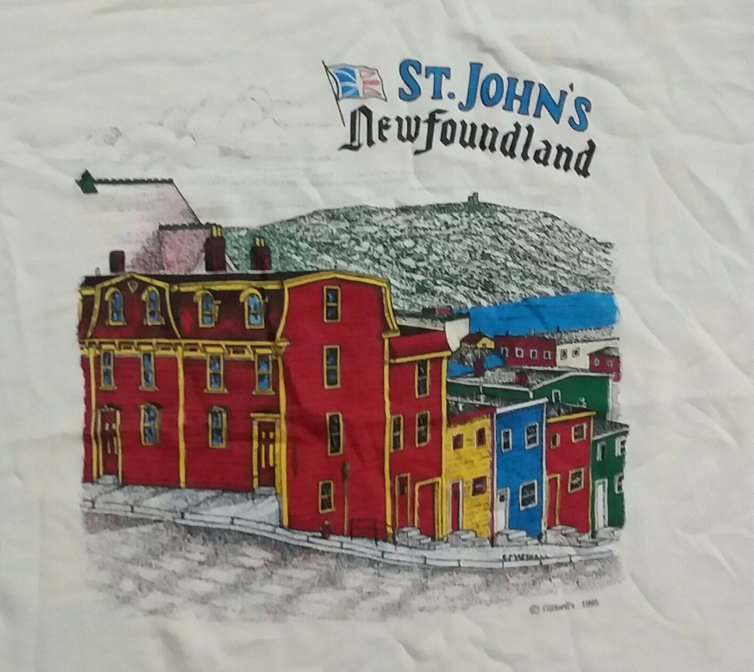 beautiful vintage St Johns Newfoundland t shirt L souvenir canada excellent