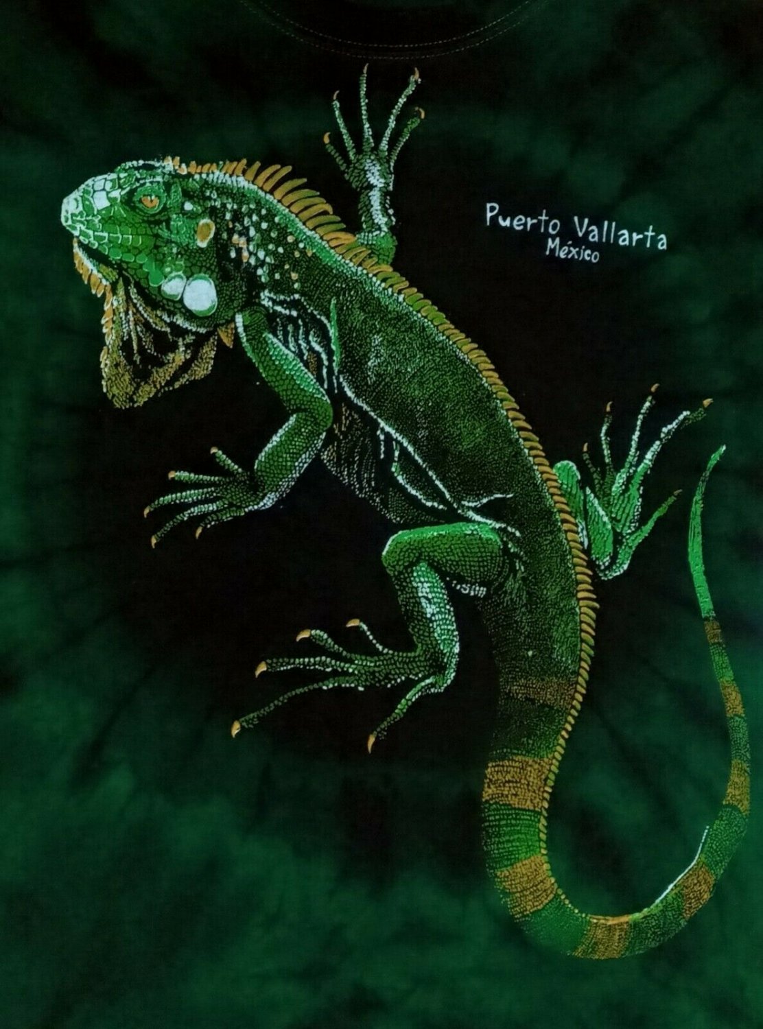 vintage Lizard Puerto Vallarta tie dye t shirt Small reptile snake animal Mexico