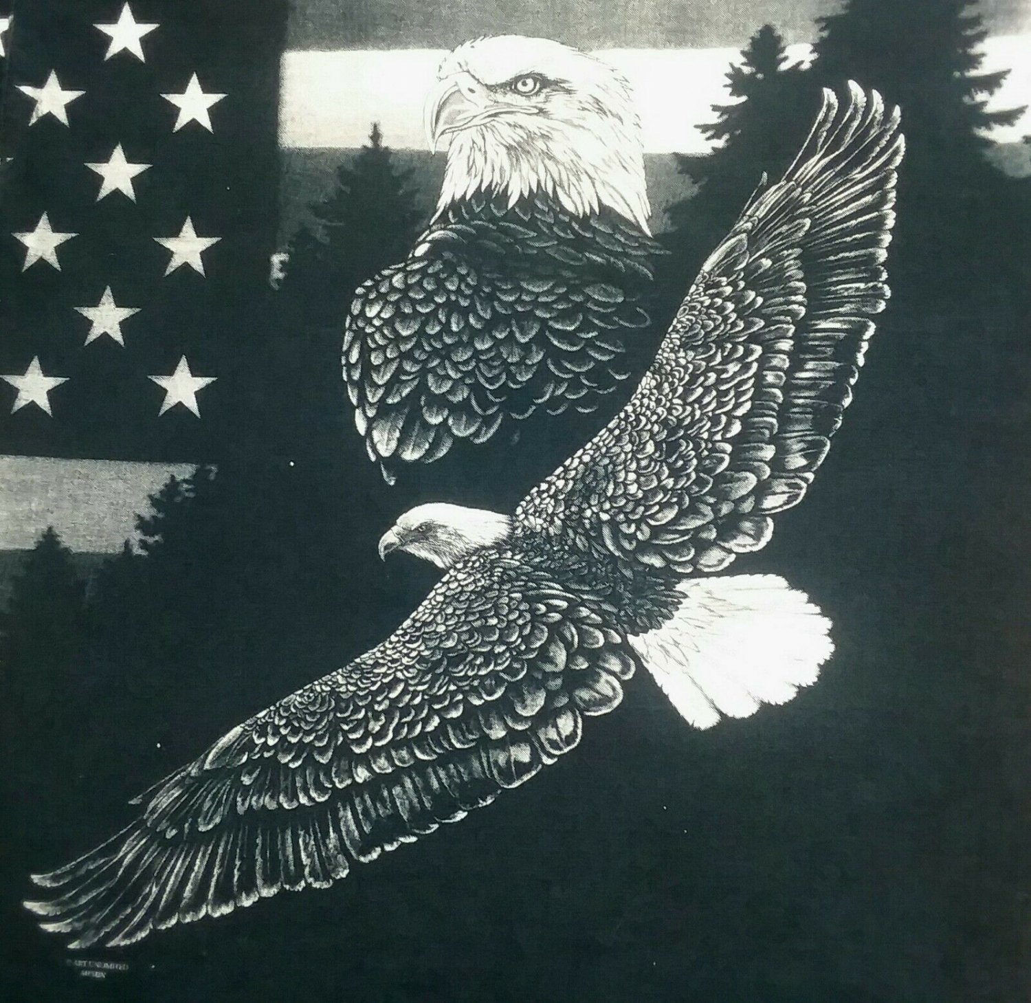 Montana American Flag Bald Eagle Souvenir t shirt XL animal bird tie dye outdoor