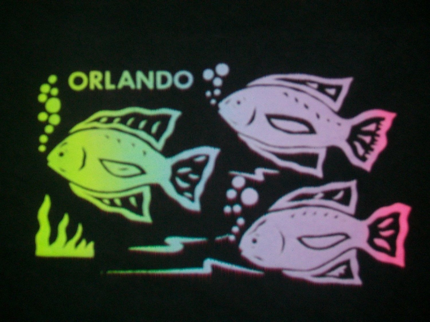 vintage single stitch Tropical Fish Orlando Florida Souvenir t shirt L rainbow