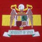 Vintage single stitch University Spain t shirt XL college crest rare Europe