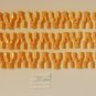 Jaw Bones Lot The Buildable Art System over 450 Pieces and 2 Manuals
