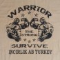 vintage Incirlik AB Turkey Warrior t-shirt weightlifting powerlift military USAF