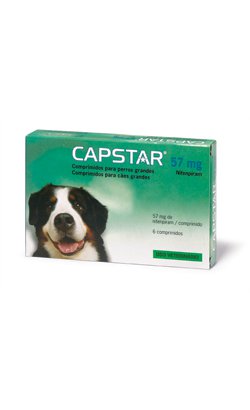 capstar for dogs 26 125 lbs