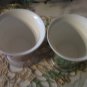 TWO~ 60s Thermal ware SHERBERT Footed dishes Plastic Burlap
