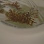 Currier & Ives "The Homestead in Winter" Collector Plate