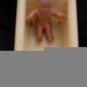 vintage dollhouse Nursery" Mary " Baby, Bathtub Donald Duck Playpen