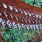 NEW 22 STRING CELTIC HARP IRISH LEVER HARP EXTRA STRING SET & KEY & BAG