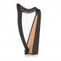 NEW 19 STRING CELTIC IRISH HARP BEAUTIFUL DESIGN EXTRA STRING SET