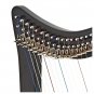 NEW 19 STRING CELTIC IRISH HARP BEAUTIFUL DESIGN EXTRA STRING SET