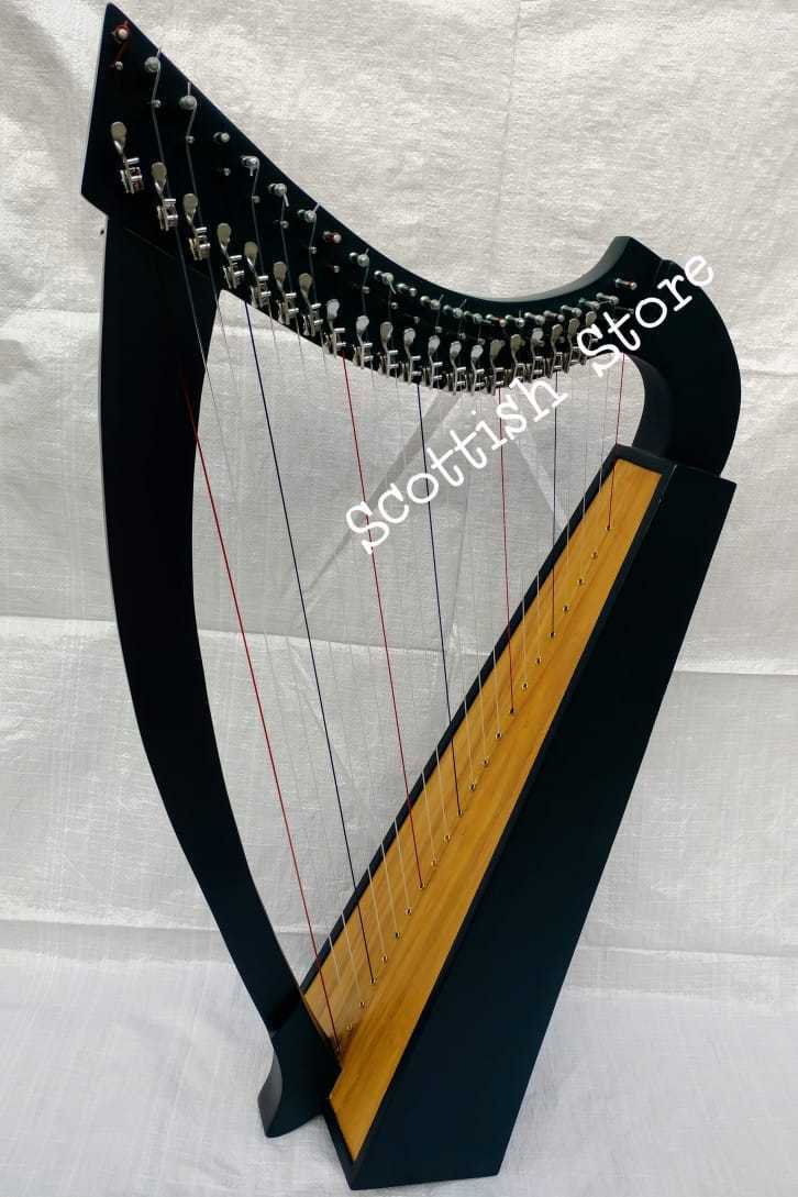 New 22 String Lever Celtic Irish Harp Beautiful Design With Free Extra