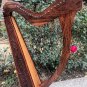 NEW 29 STRING CELTIC HARP IRISH HARP MADE ROSE WOOD EXTRA STRING SET BAG & KEY