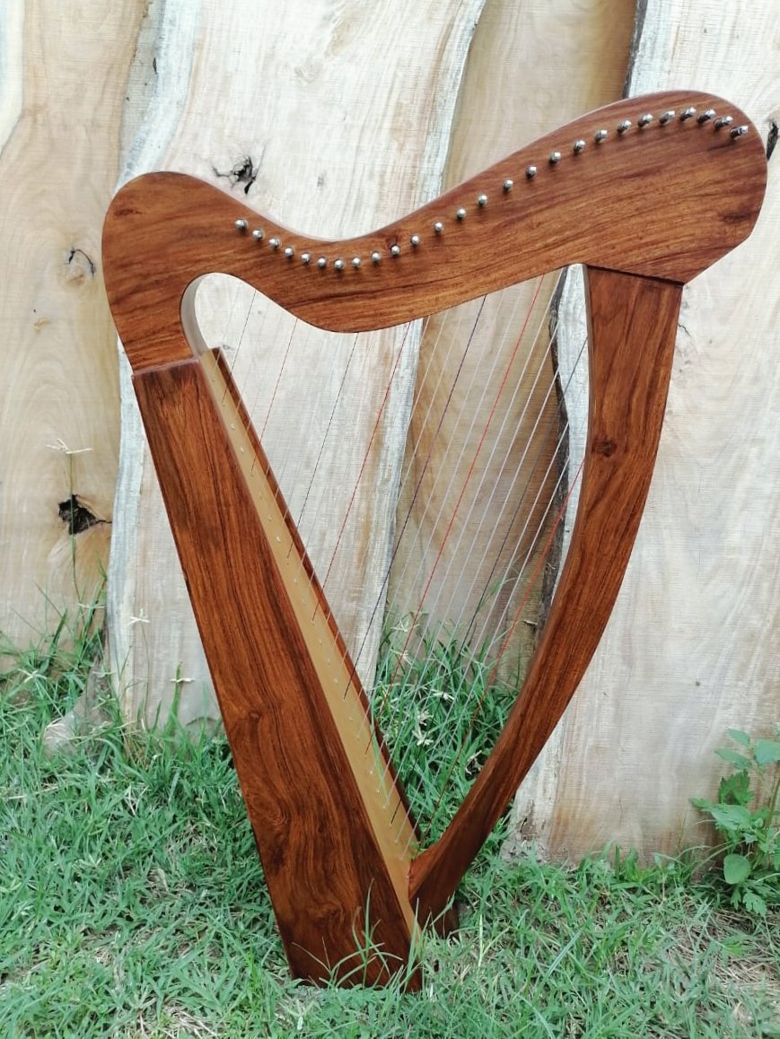 22 Strings Lever Harp Celtic Harp Solid Wood, Free Bag, Tuning Key and