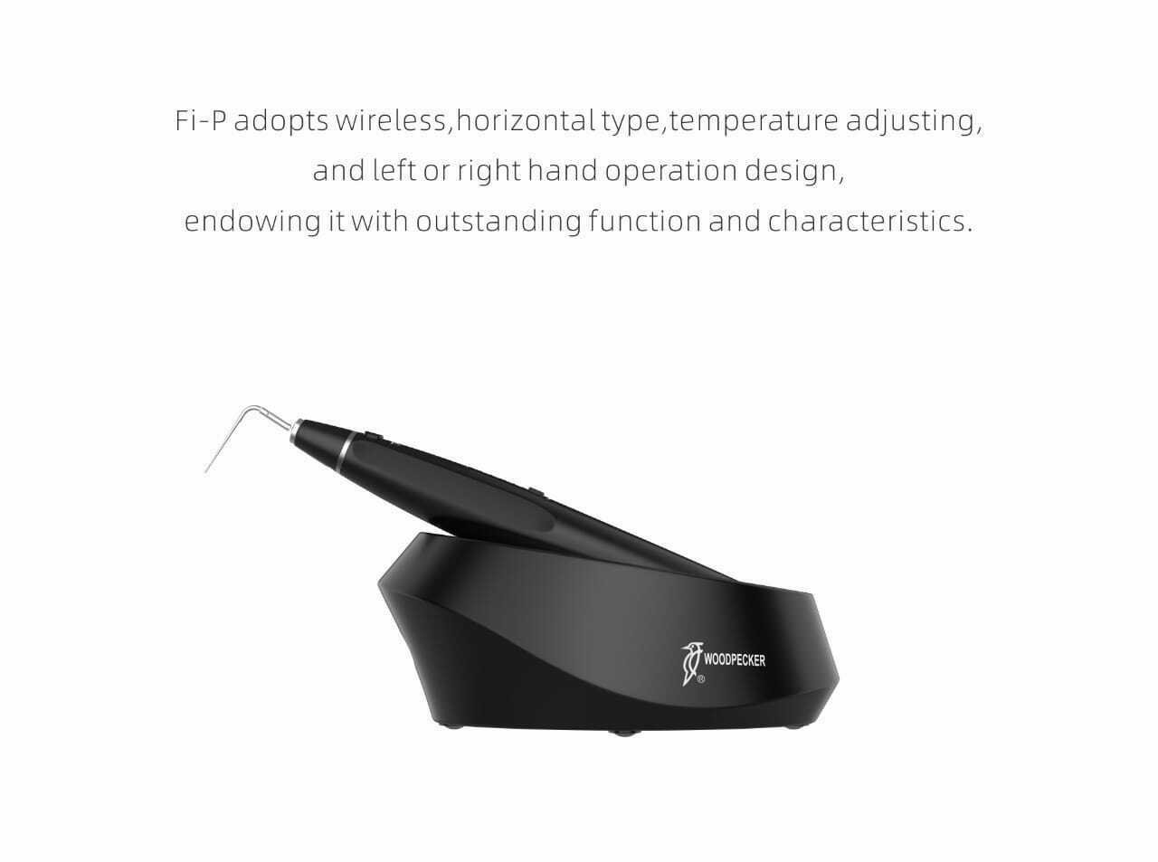 Woodpecker Obturation Pen System | Fast Ship