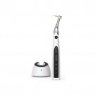Original Woodpecker Gold EndoMotor Cordless - Reciprocating mode