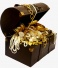 SilverJunkysTreasureChest