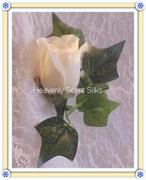 Grooms Single Rose Bout