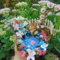 Fairy Angel Pond with Fountain