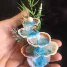 Fairy fountain sea shell miniature,fairy accessories, terririum fountain