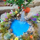 ORANGE TREE Pond,Fairy Pond