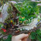 Miniature Fairy Landscape