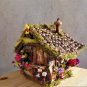 Complete Large Fairy Garden Kit