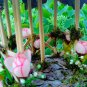 Fairy Garden Gazebo, Dollhouse Gazebo, Fairy Accessories, Fairy furniture, Fairy house