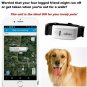 Global Locator Real Time Pet GPS Tracker For Pet Dog/Cat GPS Collar Tracking Kit