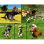 Fetch! Play Train & Compete Retail Jewel