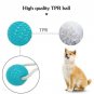 Dog molar bite toy