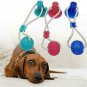 Dog molar bite toy