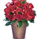 Flowers used in this arrangement