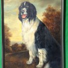 T.Clark Oil Painting "Spotty" family pet Swedish art piece Very well done ,Circa early 1980s