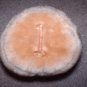 Vintage Bear Creek Golf World Houston Golf Club Plush Retro Head Cover Rare