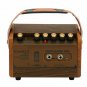 Flatsons Crush 15 Portable Acoustic Guitar Amplifier Amp BlueTooth Speaker 15W
