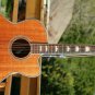 Fishbone Acoustic Jumbo BLK200 J200-Mahogany Single Cut