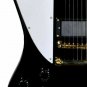 Fishbone Phoenix -FFB-6L 2020 Black LEFTY