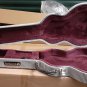 fishbone White Tweed Les Paul Electric Guitar Hardshell Case New