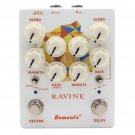 Demonfx RAVINE Reverb Delay Numerous Set Options Guitar Effect Pedal