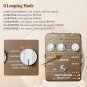 JOYO JF-24 ORTHOS Loop Guitar Effect Pedal 6 Looping Modes 2 Line Loop Selector