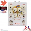 Demonfx RAVINE Reverb Delay Numerous Set Options Guitar Effect Pedal NEW! ca