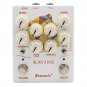 Demonfx RAVINE Reverb Delay Numerous Set Options Guitar Effect Pedal NEW! ca
