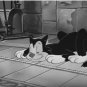 Little Roquefort And Percy The Haunted Cat Super 8 8mm Animation New Sealed